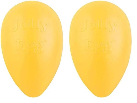 Jolly Pets Jolly Egg Dog Toy, 12 Inches/Large, Purple