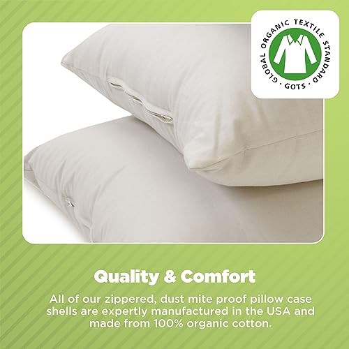 Bean Products Millet Pillow for Sleeping - Pillow Case Protector is 100% Organic Cotton Waterproof & Breathable - Fully Zipped Enclosure for Pillow Protection - Made in USA - Queen