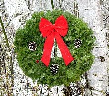 24 Inch Traditional Fresh Balsam Fir Christmas Wreath