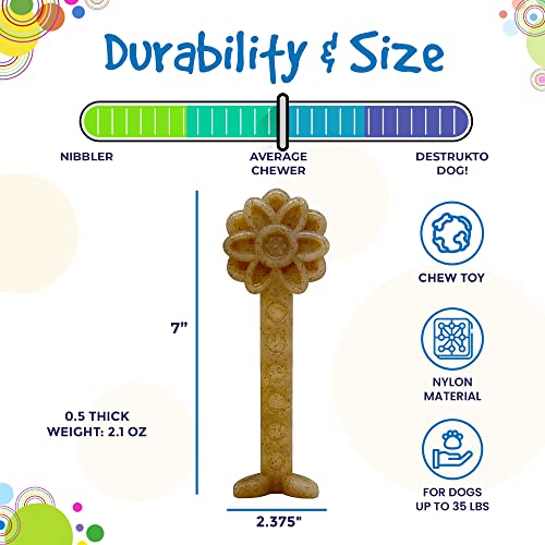 SodaPup Hot Dog – Durable Dog Chew Toy Made in USA from Non-Toxic, Pet Safe, Food Safe Nylon Material for Mental Stimulation, Clean Teeth, Fresh Breath, Problem Chewing, Calming Nerves, & More