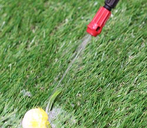 Chapin International 20541 1 Gallon Lawn & Garden Multi-purpose Sprayer with Foaming and Adjustable Nozzles, Made in the USA, 1-pack, Translucent White