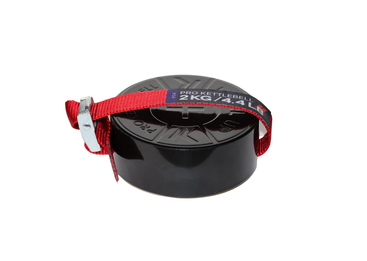 Magnetic Chip Weight Plate: Make your kettlebell, dumbbell, barbell, club, mace and more gym equipment instantly adjustable