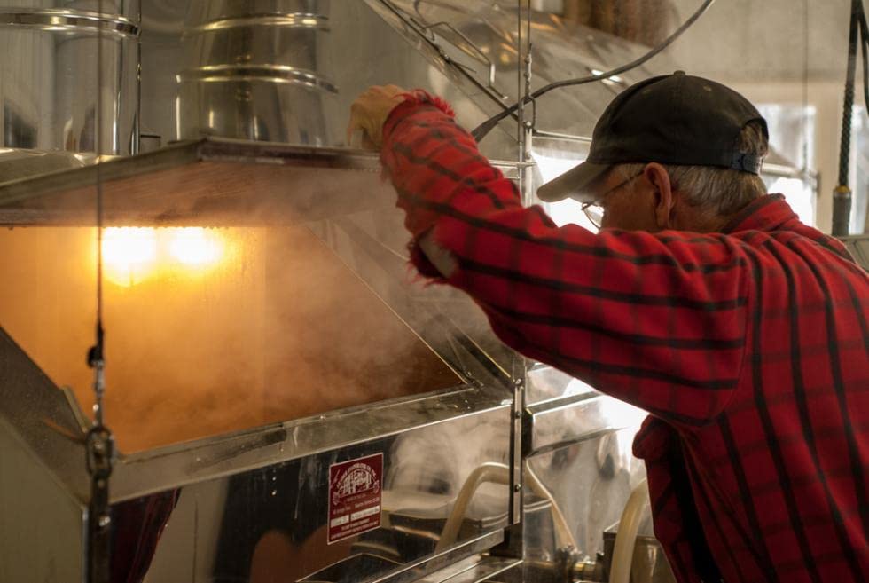 Butternut Mountain Farm Pure Vermont Maple Syrup, Organic, Grade A, Amber Rich, 12 oz, Easy Squeeze Bottle