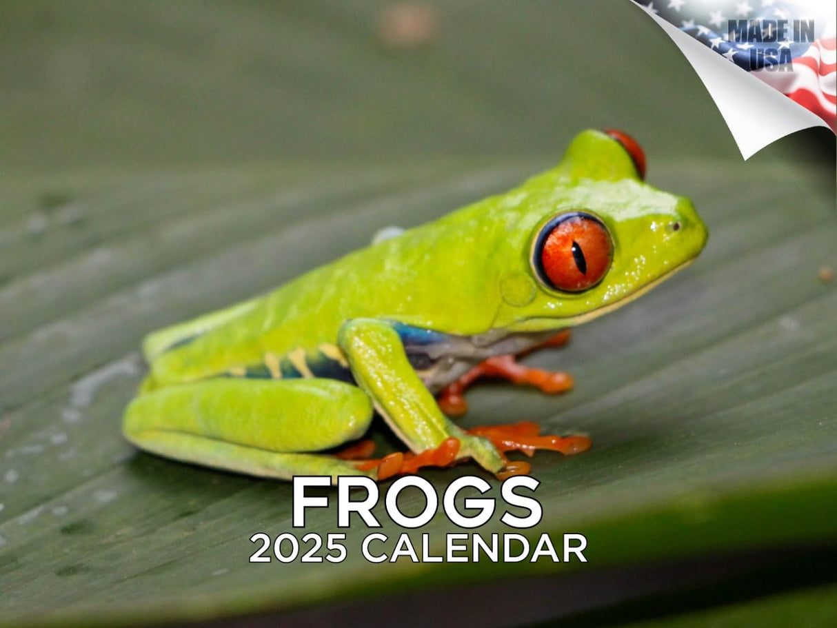 Trump Calendar 2025 Donald Trump Gifts 45 47 President Monthly Wall Calender 12 Month - MAGA - Made In The USA