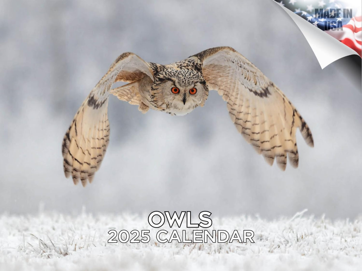 Trump Calendar 2025 Donald Trump Gifts 45 47 President Monthly Wall Calender 12 Month - MAGA - Made In The USA