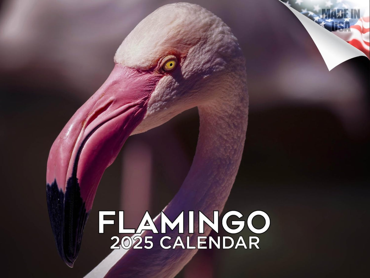 Trump Calendar 2025 Donald Trump Gifts 45 47 President Monthly Wall Calender 12 Month - MAGA - Made In The USA