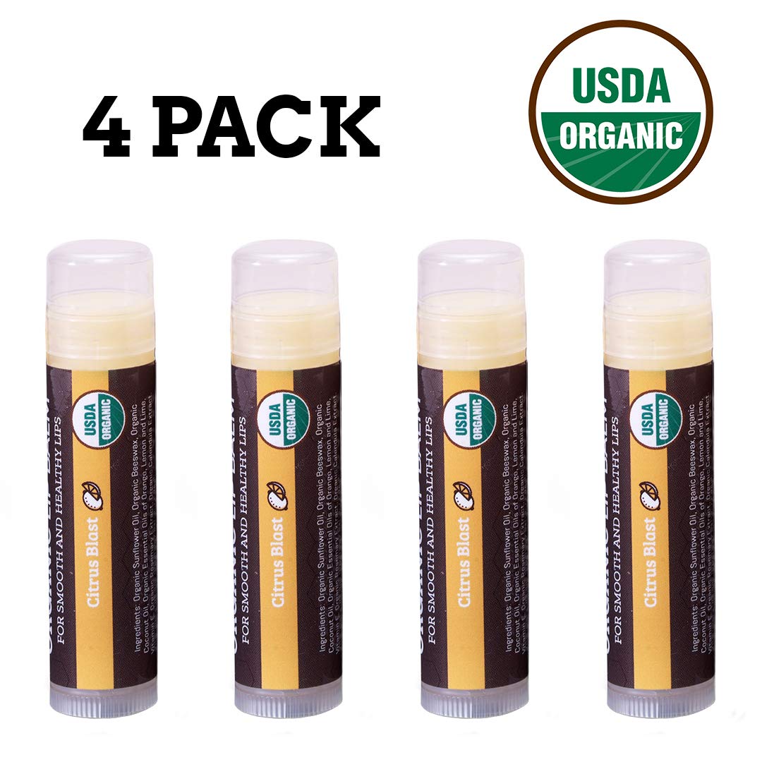 USDA Organic Lip Balm 6-Pack by Earth's Daughter Stocking Stuffers - Fruit Flavors, Beeswax, Coconut Oil, Vitamin E - Best Lip Repair Chapstick for Dry Cracked Lips - Moisturizing Lip Care