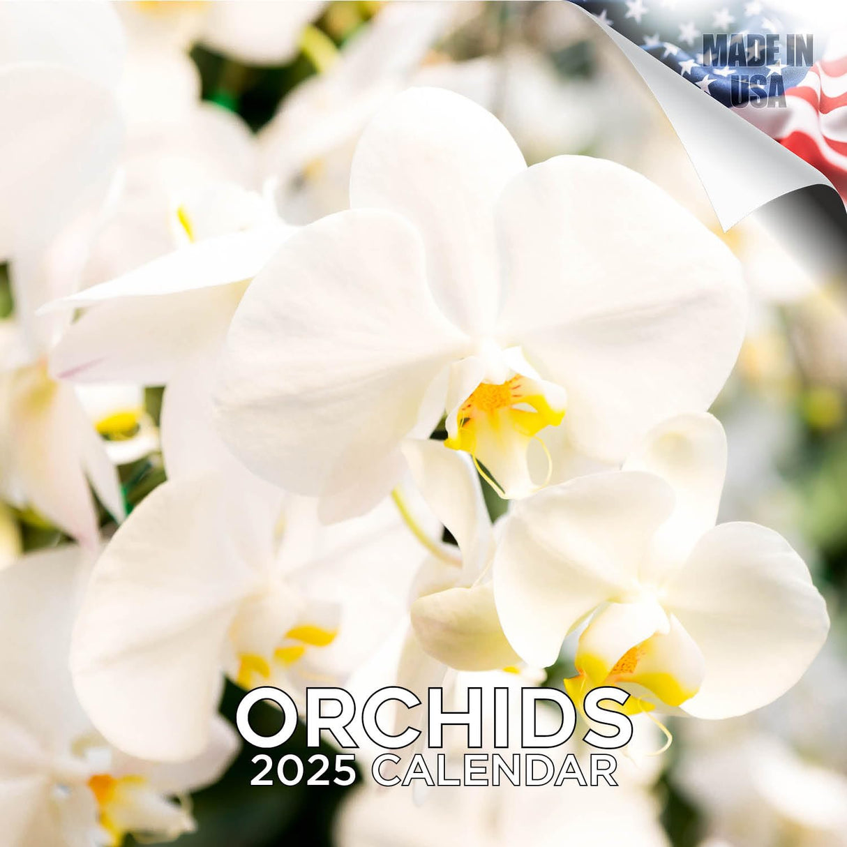 Trump Calendar 2025 Donald Trump Gifts 45 47 President Monthly Wall Calender 12 Month - MAGA - Made In The USA