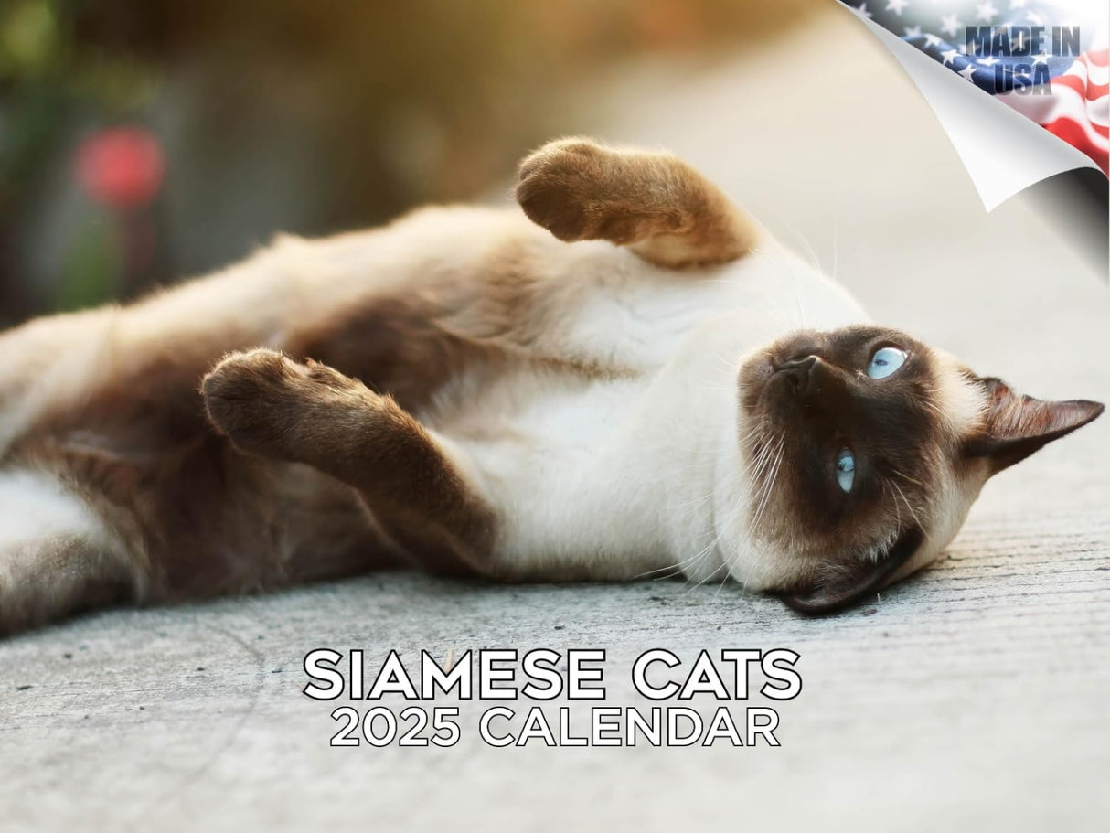 Trump Calendar 2025 Donald Trump Gifts 45 47 President Monthly Wall Calender 12 Month - MAGA - Made In The USA