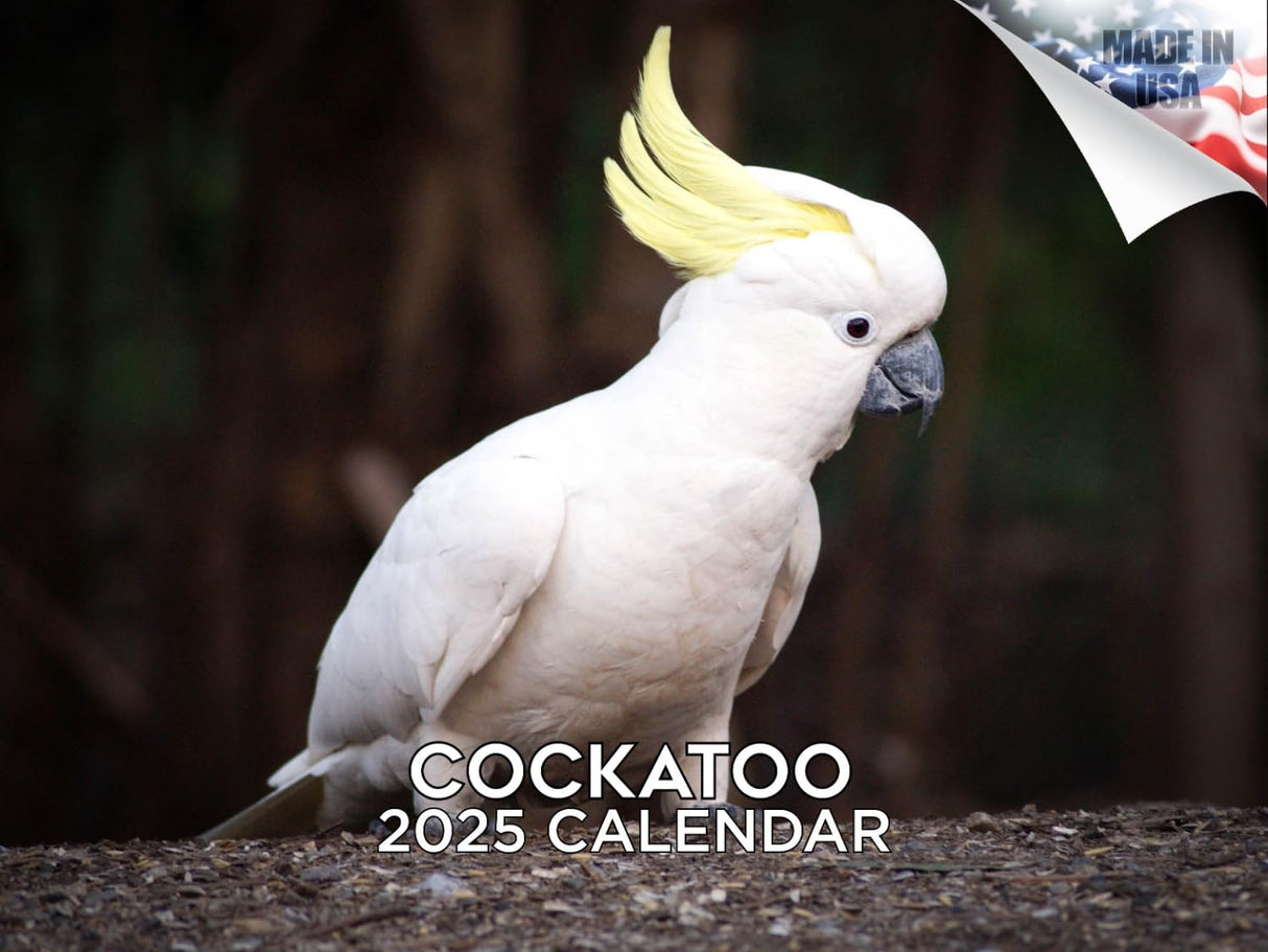 Trump Calendar 2025 Donald Trump Gifts 45 47 President Monthly Wall Calender 12 Month - MAGA - Made In The USA