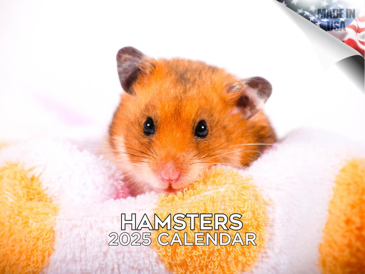 Trump Calendar 2025 Donald Trump Gifts 45 47 President Monthly Wall Calender 12 Month - MAGA - Made In The USA