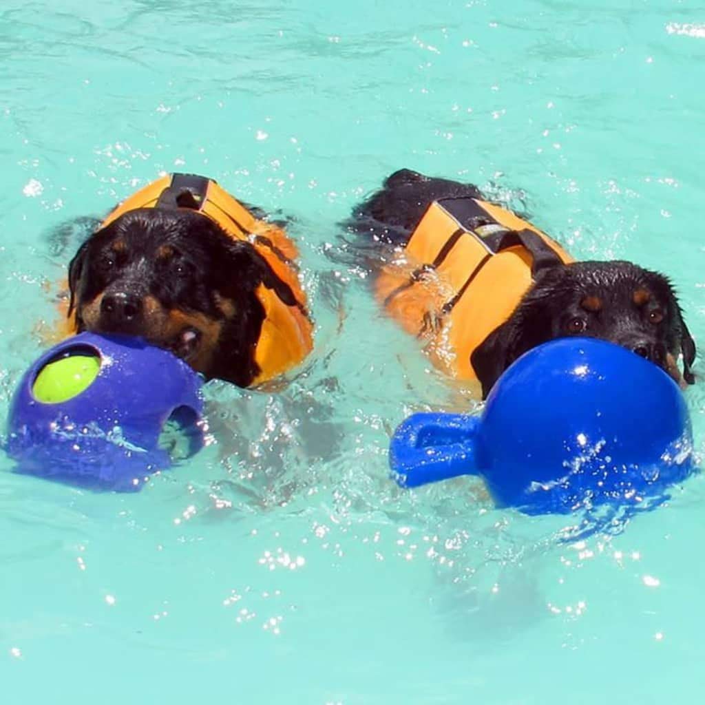 Jolly Pets Tug-n-Toss Heavy Duty Dog Toy Ball with Handle, 8 Inches/Large, Blueberry