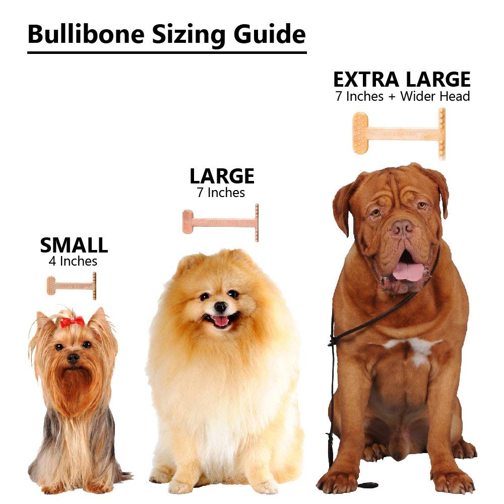 Bullibone Nylon Dog Chew Toy Nylon Bone - Improves Dental Hygiene, Easy to Grip Bottom, and Permeated with Flavor (Bacon, Large - 2 Pack)