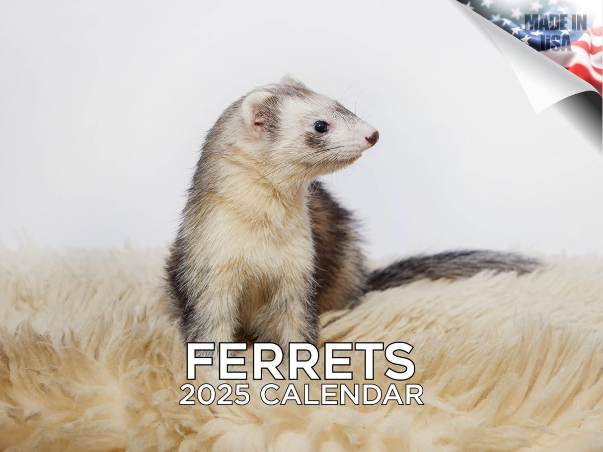 Trump Calendar 2025 Donald Trump Gifts 45 47 President Monthly Wall Calender 12 Month - MAGA - Made In The USA