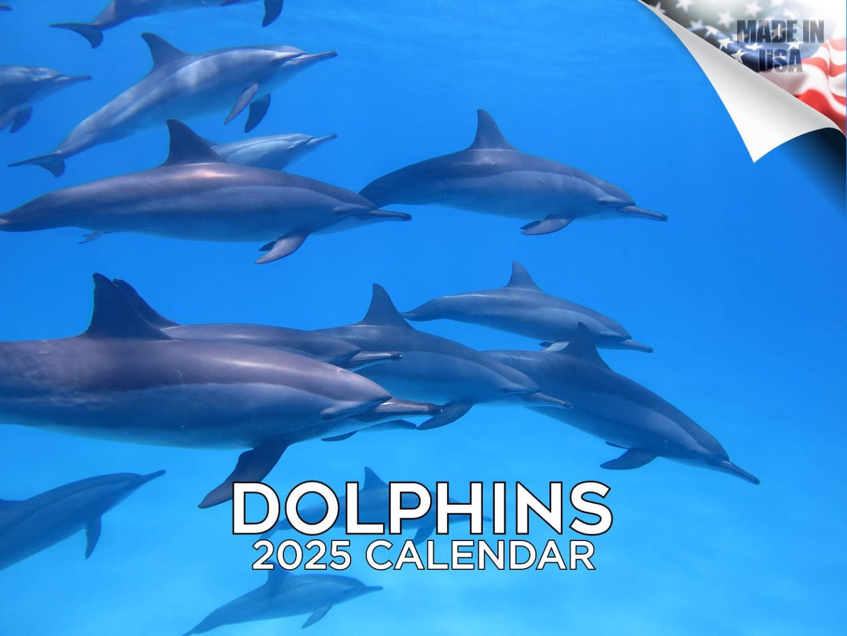 Trump Calendar 2025 Donald Trump Gifts 45 47 President Monthly Wall Calender 12 Month - MAGA - Made In The USA