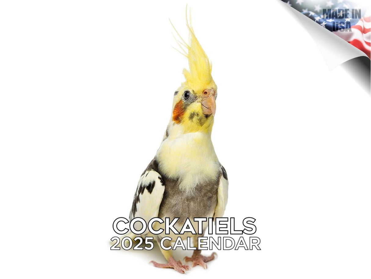 Trump Calendar 2025 Donald Trump Gifts 45 47 President Monthly Wall Calender 12 Month - MAGA - Made In The USA