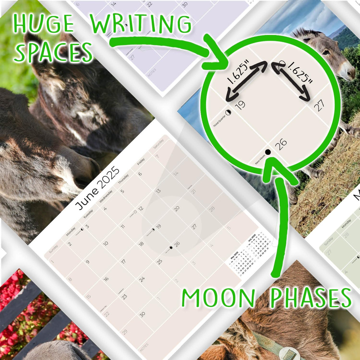 Trump Calendar 2025 Donald Trump Gifts 45 47 President Monthly Wall Calender 12 Month - MAGA - Made In The USA