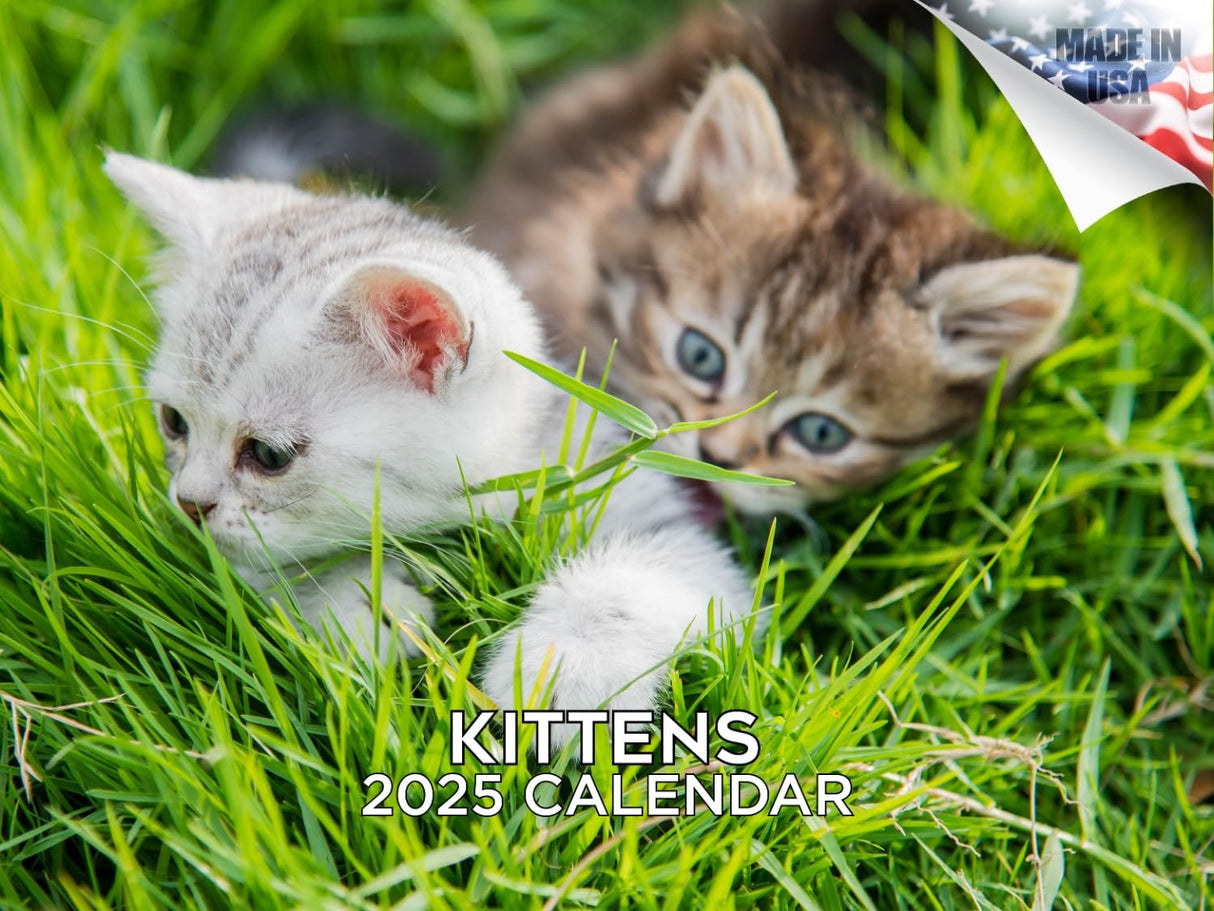 Trump Calendar 2025 Donald Trump Gifts 45 47 President Monthly Wall Calender 12 Month - MAGA - Made In The USA