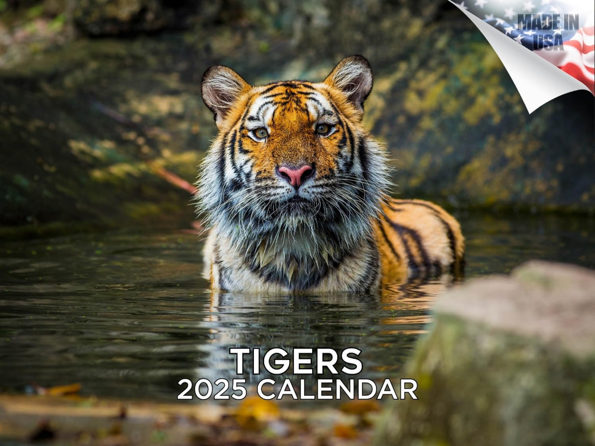 Trump Calendar 2025 Donald Trump Gifts 45 47 President Monthly Wall Calender 12 Month - MAGA - Made In The USA