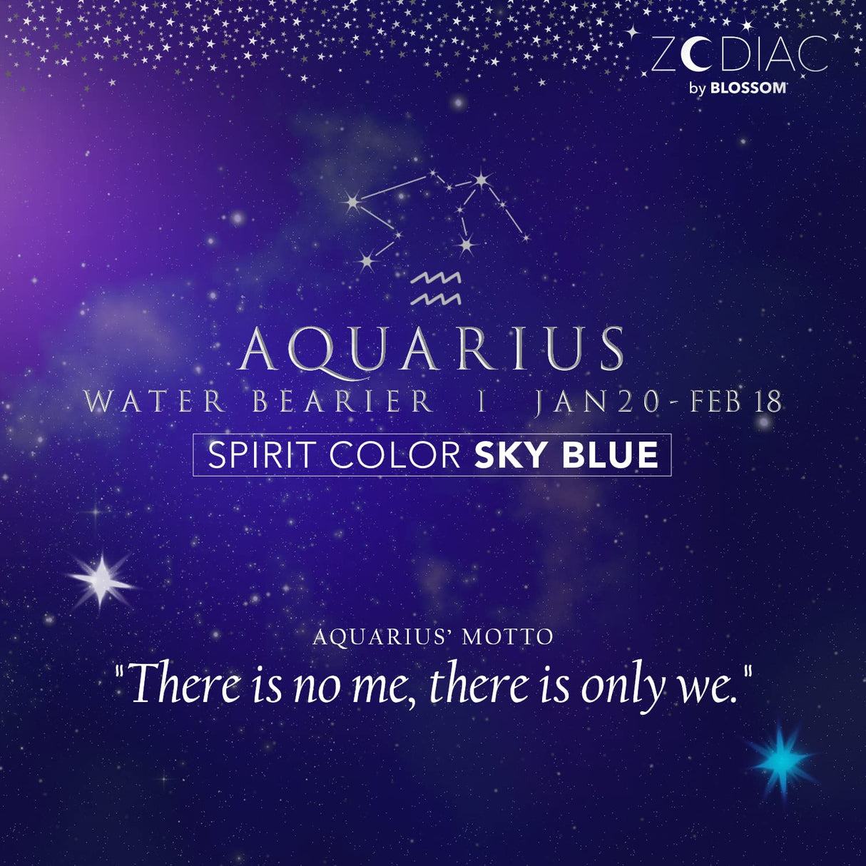 Blossom Zodiac Sign Roll-On Lip Gloss, Vanilla Scented + Moisturizing with Crystals, Made in USA, 0.20 fl. oz./5.9ml, Aquarius