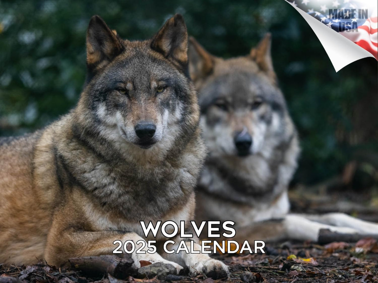 Trump Calendar 2025 Donald Trump Gifts 45 47 President Monthly Wall Calender 12 Month - MAGA - Made In The USA