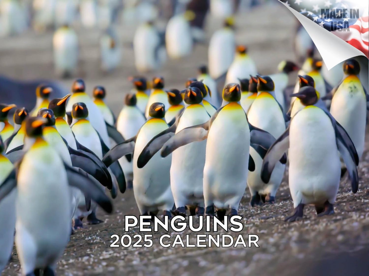 Trump Calendar 2025 Donald Trump Gifts 45 47 President Monthly Wall Calender 12 Month - MAGA - Made In The USA