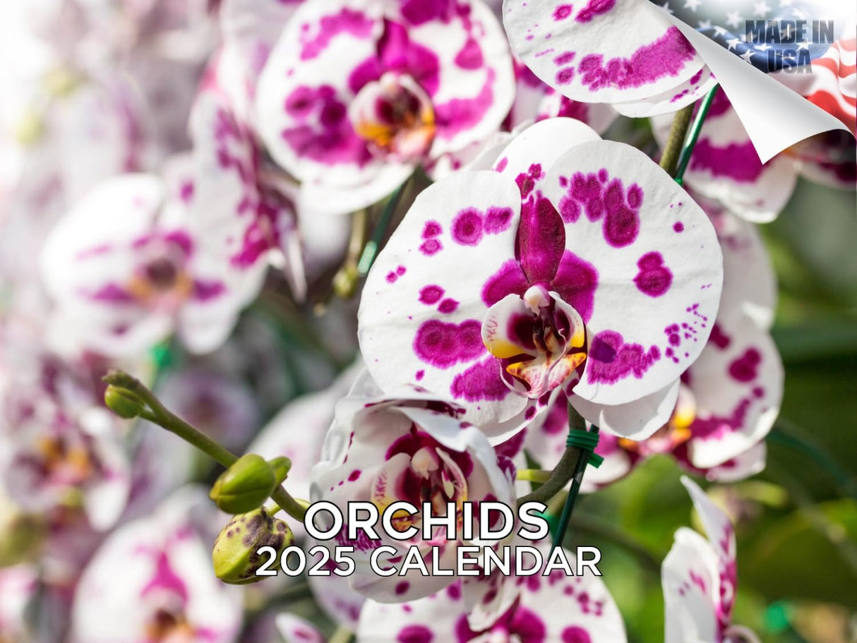 Trump Calendar 2025 Donald Trump Gifts 45 47 President Monthly Wall Calender 12 Month - MAGA - Made In The USA