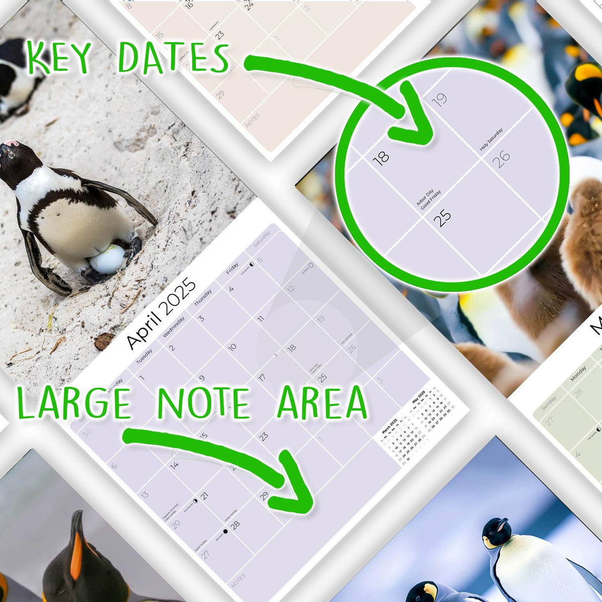 Trump Calendar 2025 Donald Trump Gifts 45 47 President Monthly Wall Calender 12 Month - MAGA - Made In The USA