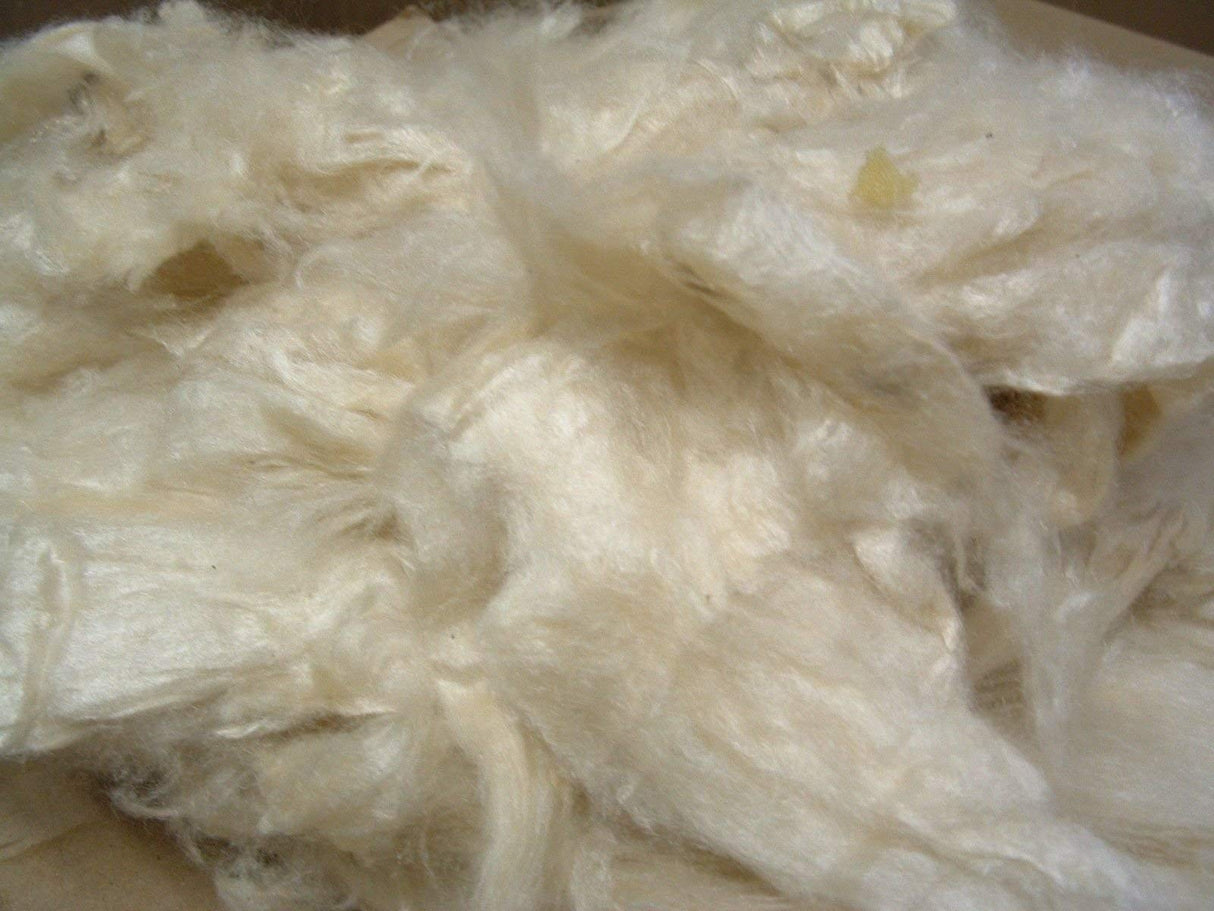 Bean Products Premium Kapok Fill | 1 lbs | 100% Organic Kapok Fiber | Chemical Free and Hypoallergenic | Perfect for Pillows, Pet Beds, Couches & More | Made in USA