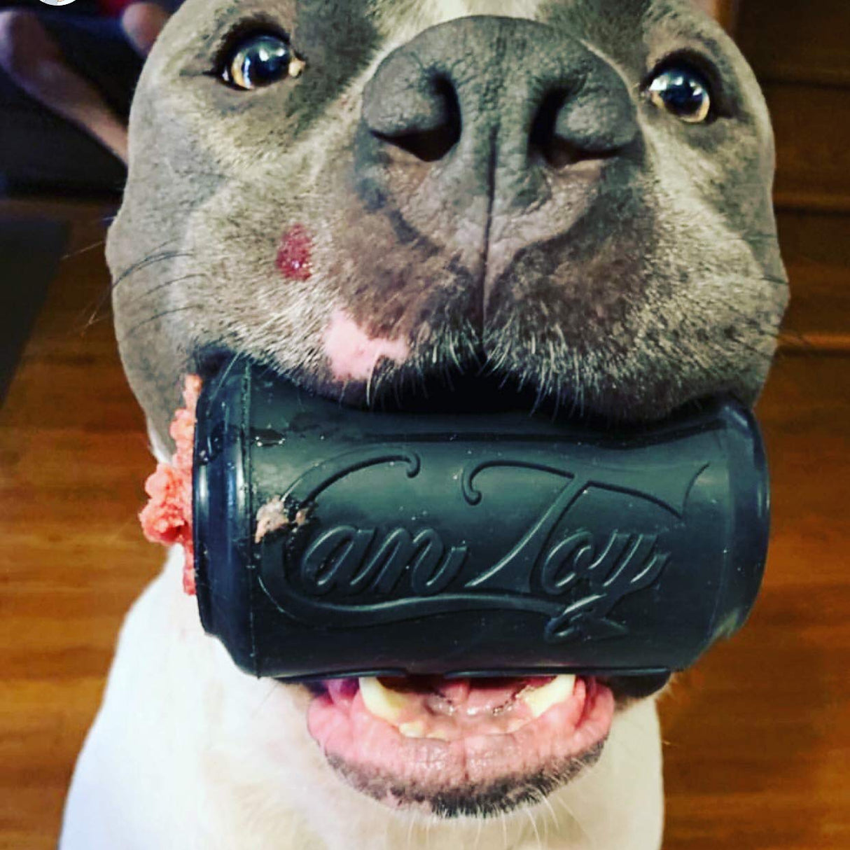 SodaPup Honey Pot – Durable Dog Treat Dispenser & Enrichment Toy Made in USA from Non-Toxic, Pet Safe, Food Safe Natural Rubber Material for Mental Stimulation, Problem Chewing, Calming Nerves, & More