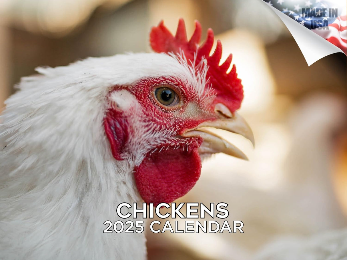 Trump Calendar 2025 Donald Trump Gifts 45 47 President Monthly Wall Calender 12 Month - MAGA - Made In The USA