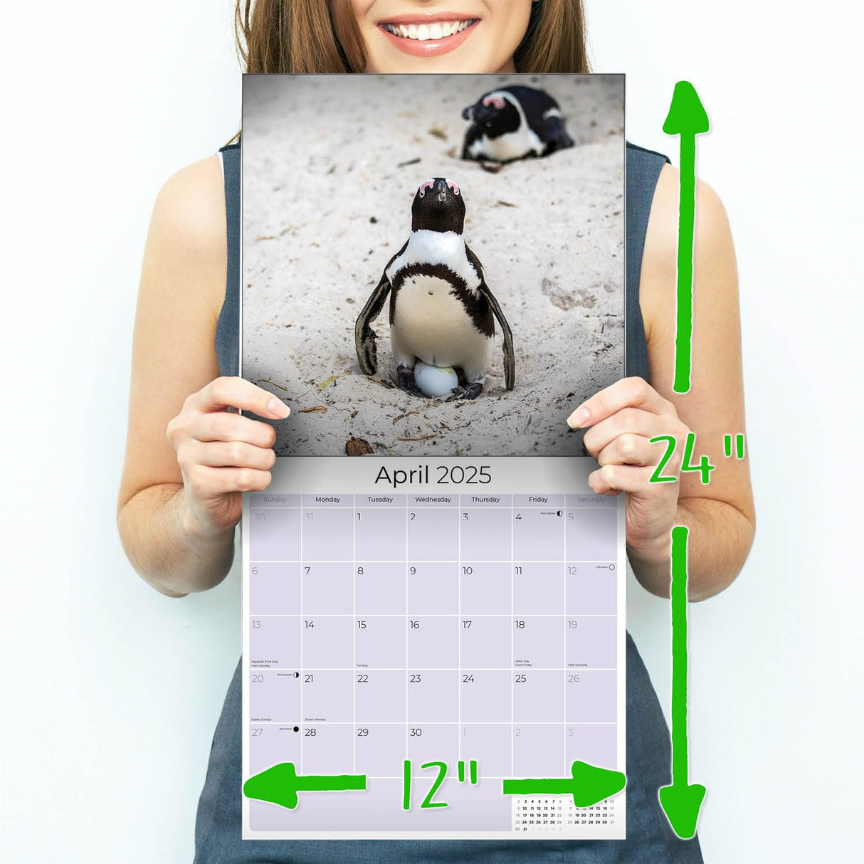 Trump Calendar 2025 Donald Trump Gifts 45 47 President Monthly Wall Calender 12 Month - MAGA - Made In The USA