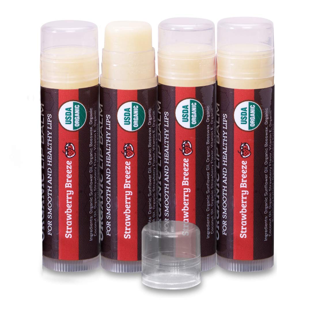 USDA Organic Lip Balm 6-Pack by Earth's Daughter Stocking Stuffers - Fruit Flavors, Beeswax, Coconut Oil, Vitamin E - Best Lip Repair Chapstick for Dry Cracked Lips - Moisturizing Lip Care