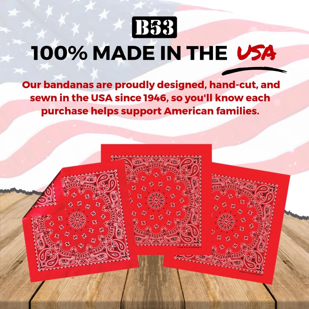 B53 100% Cotton Paisley Bandanas Made in the USA - Stylish Headband, Handkerchief, Scarf - 21 inch x 21 inch