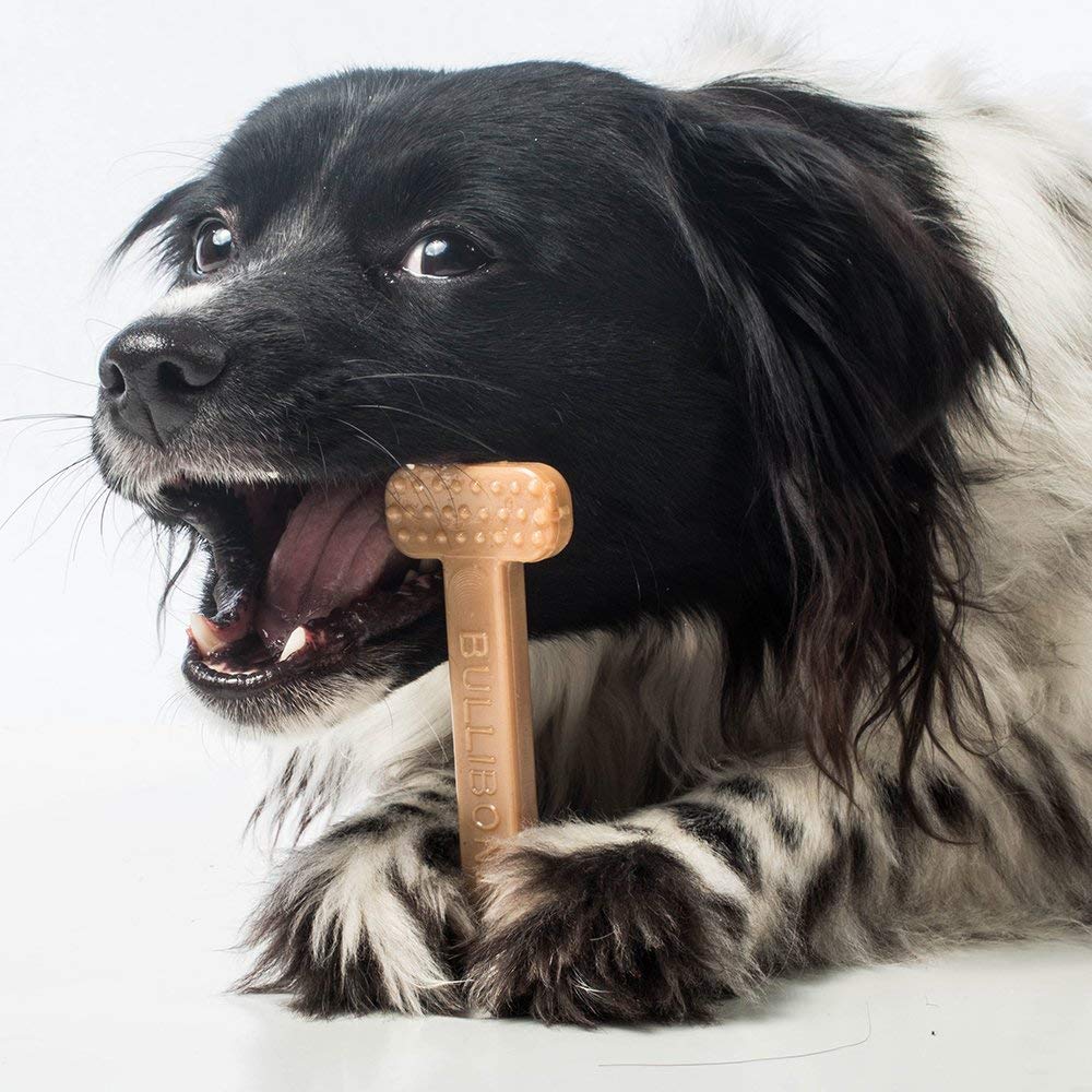 Bullibone Nylon Dog Chew Toy Nylon Bone - Improves Dental Hygiene, Easy to Grip Bottom, and Permeated with Flavor (Bacon, Large - 2 Pack)