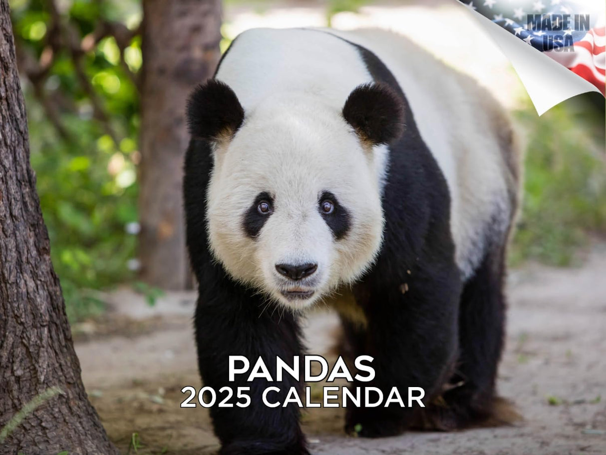 Trump Calendar 2025 Donald Trump Gifts 45 47 President Monthly Wall Calender 12 Month - MAGA - Made In The USA