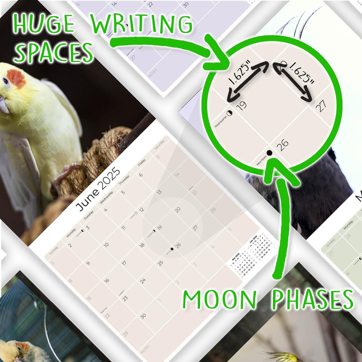 Trump Calendar 2025 Donald Trump Gifts 45 47 President Monthly Wall Calender 12 Month - MAGA - Made In The USA