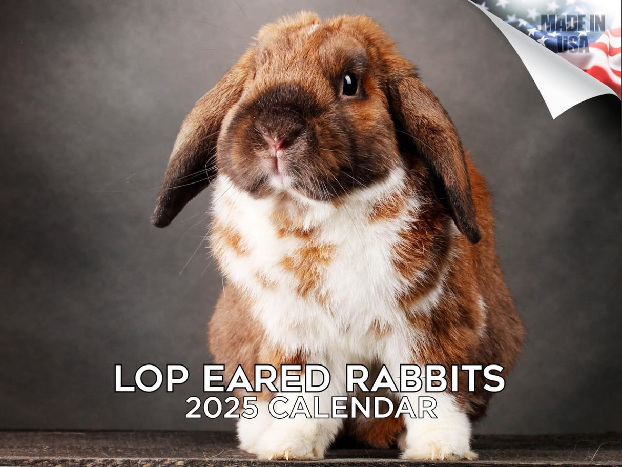 Trump Calendar 2025 Donald Trump Gifts 45 47 President Monthly Wall Calender 12 Month - MAGA - Made In The USA