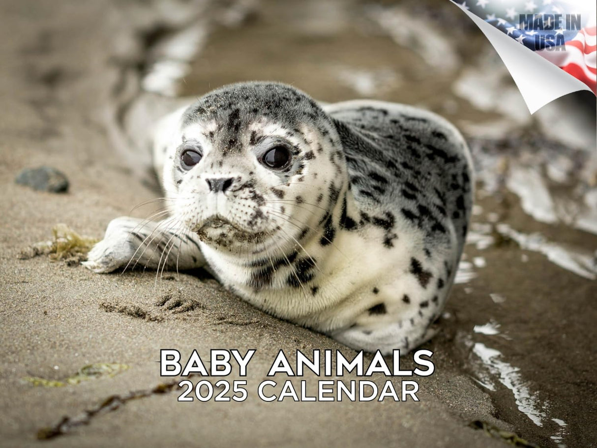 Trump Calendar 2025 Donald Trump Gifts 45 47 President Monthly Wall Calender 12 Month - MAGA - Made In The USA