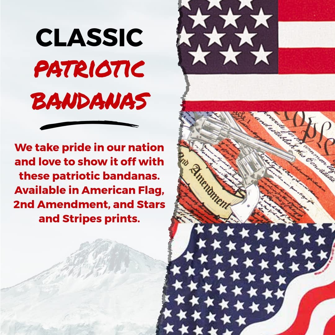 B53 100% Cotton Paisley Bandanas Made in the USA - Stylish Headband, Handkerchief, Scarf - 21 inch x 21 inch