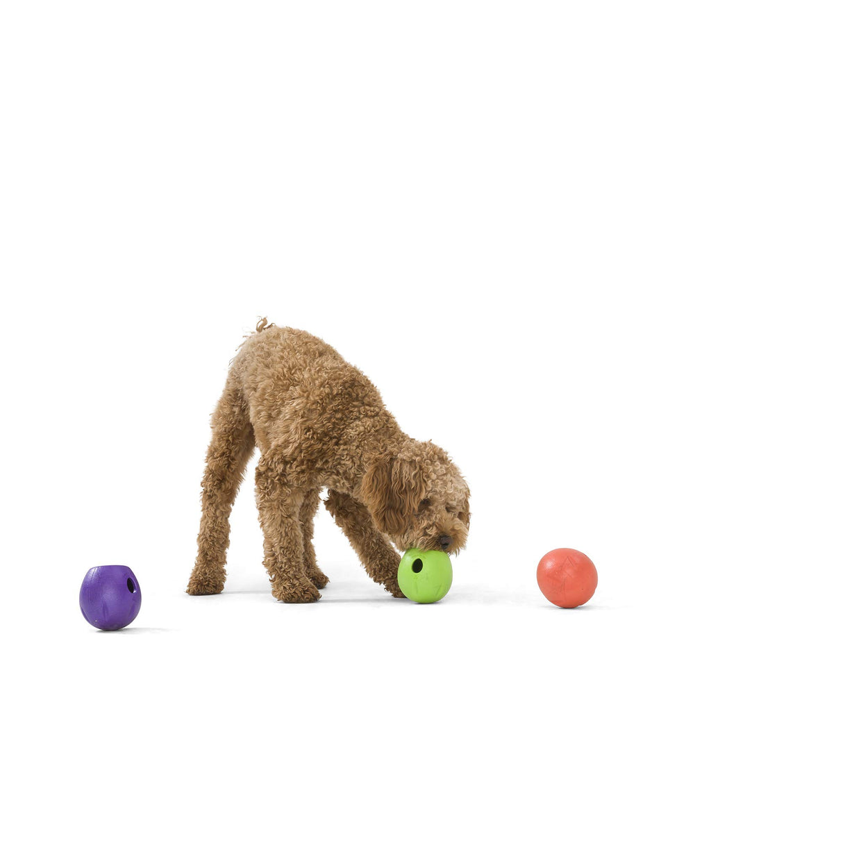 West Paw Zogoflex Rumbl Treat-Dispensing Dog Toy – Interactive Slow-Feeder Chew – Enrichment Toy Moderate Chewers, Fetch, Catch – Holds Kibble, (Eggplant, Large)