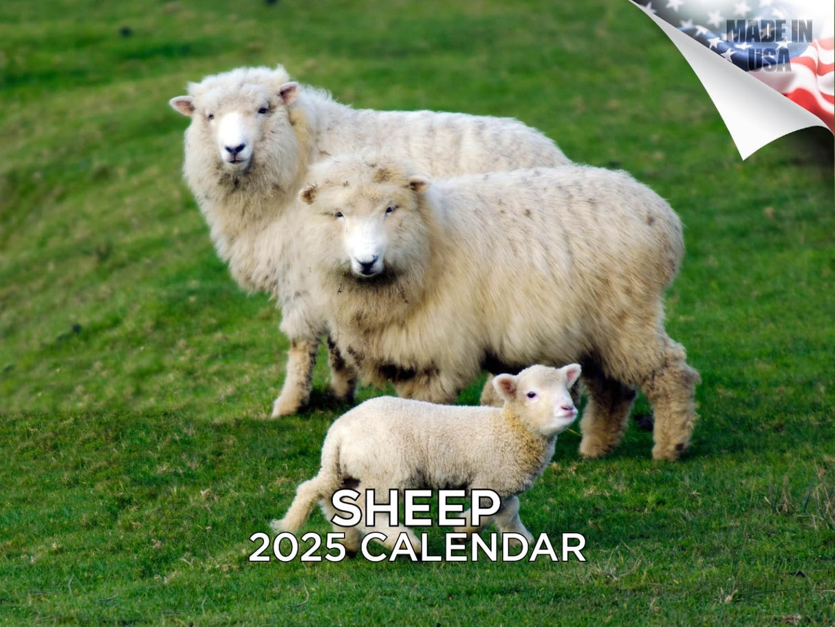 Trump Calendar 2025 Donald Trump Gifts 45 47 President Monthly Wall Calender 12 Month - MAGA - Made In The USA