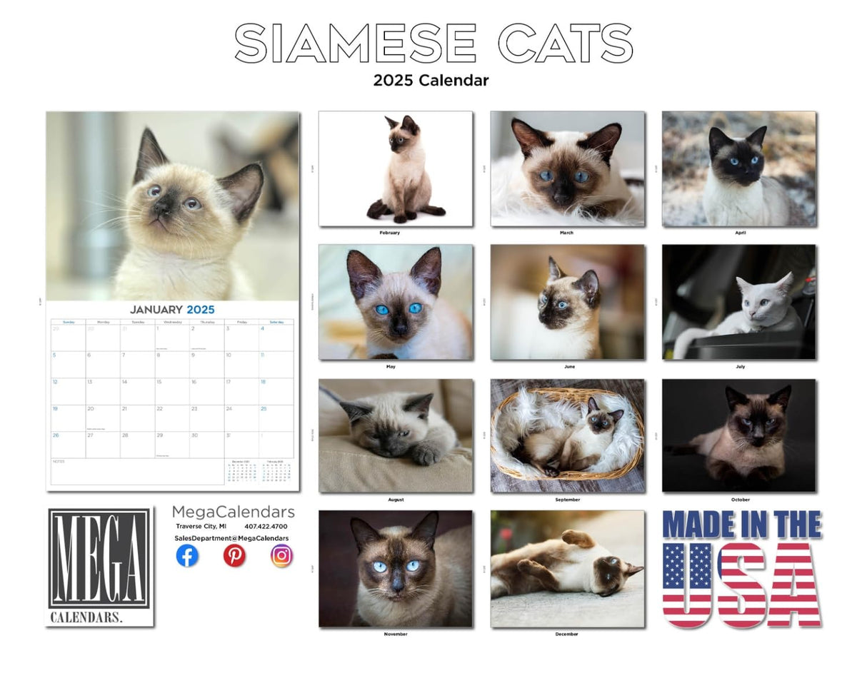 Trump Calendar 2025 Donald Trump Gifts 45 47 President Monthly Wall Calender 12 Month - MAGA - Made In The USA