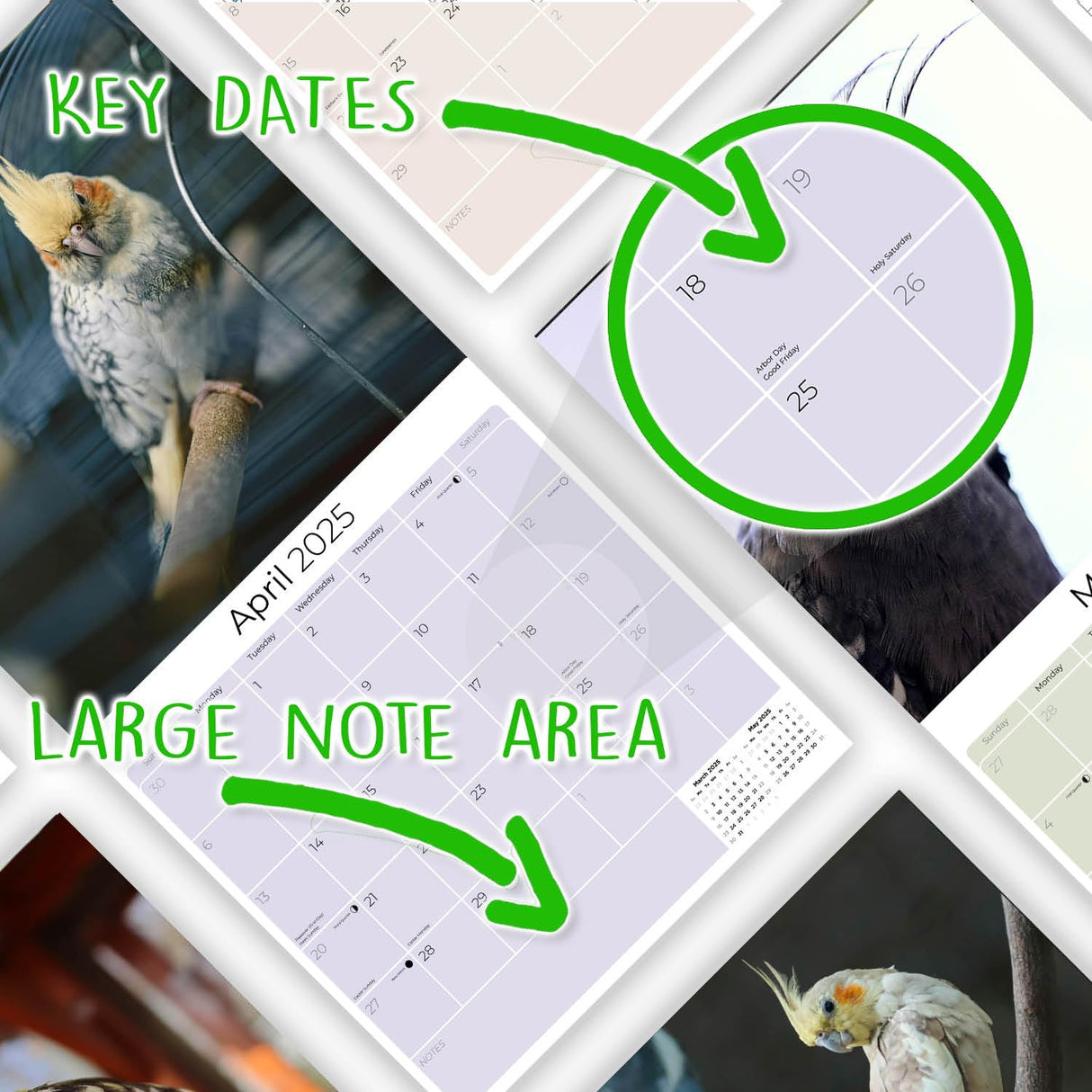 Trump Calendar 2025 Donald Trump Gifts 45 47 President Monthly Wall Calender 12 Month - MAGA - Made In The USA