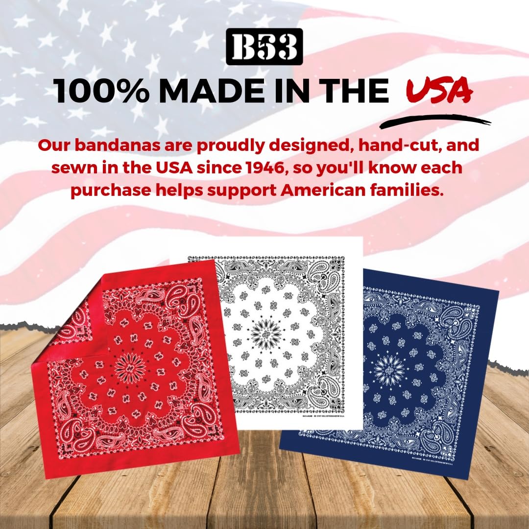 B53 100% Cotton Paisley Bandanas Made in the USA - Stylish Headband, Handkerchief, Scarf - 21 inch x 21 inch