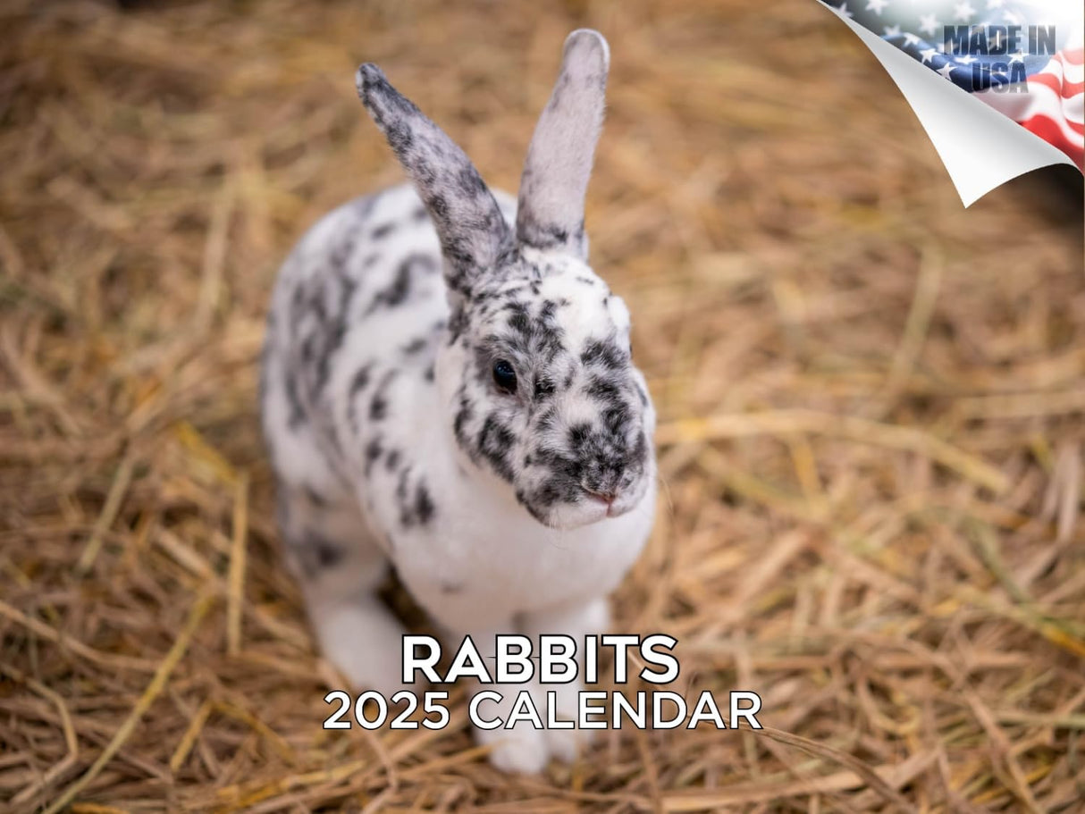 Trump Calendar 2025 Donald Trump Gifts 45 47 President Monthly Wall Calender 12 Month - MAGA - Made In The USA