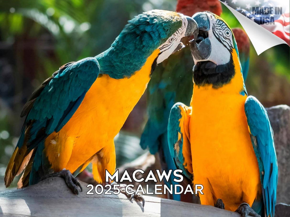 Trump Calendar 2025 Donald Trump Gifts 45 47 President Monthly Wall Calender 12 Month - MAGA - Made In The USA