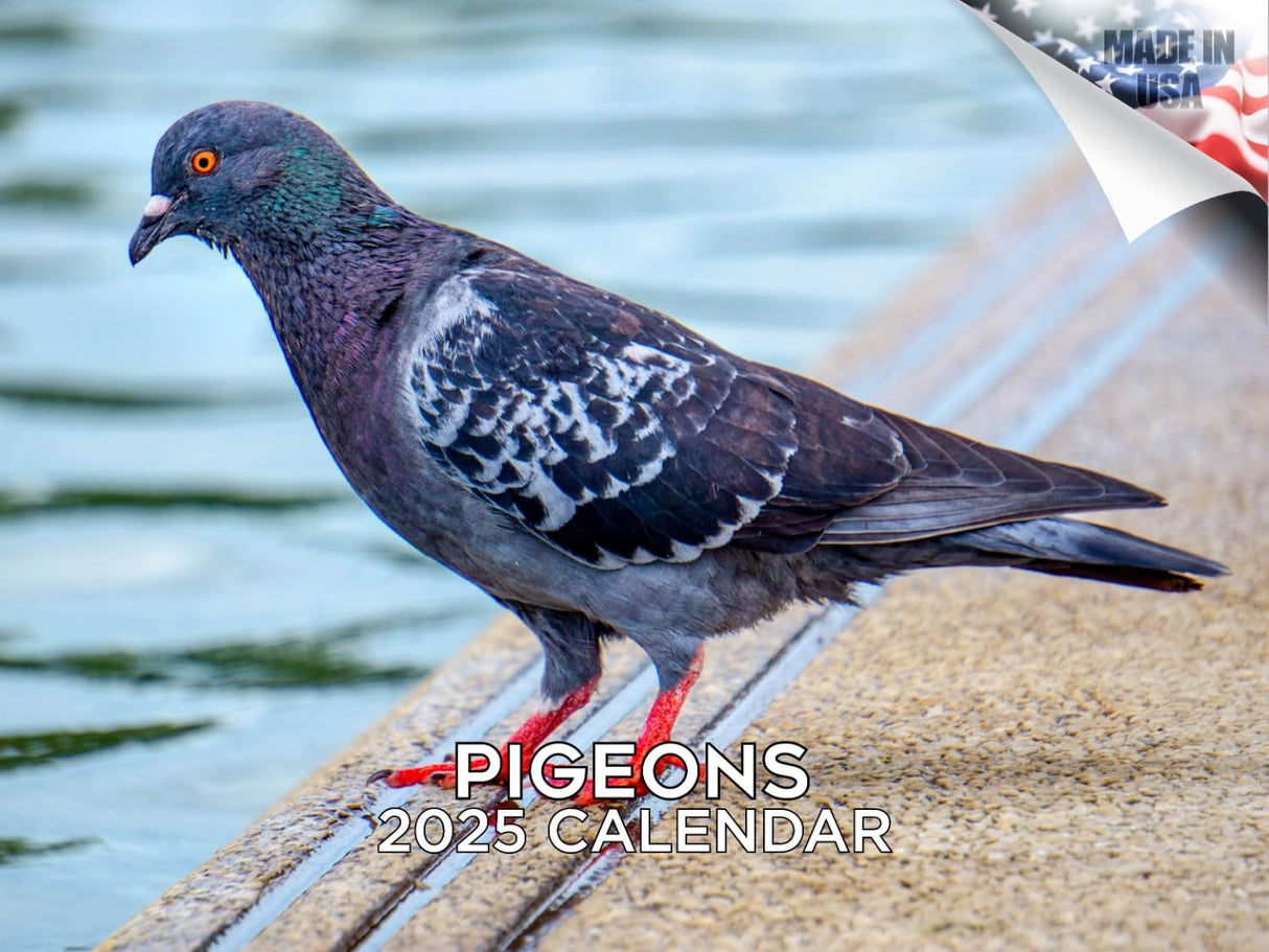 Trump Calendar 2025 Donald Trump Gifts 45 47 President Monthly Wall Calender 12 Month - MAGA - Made In The USA