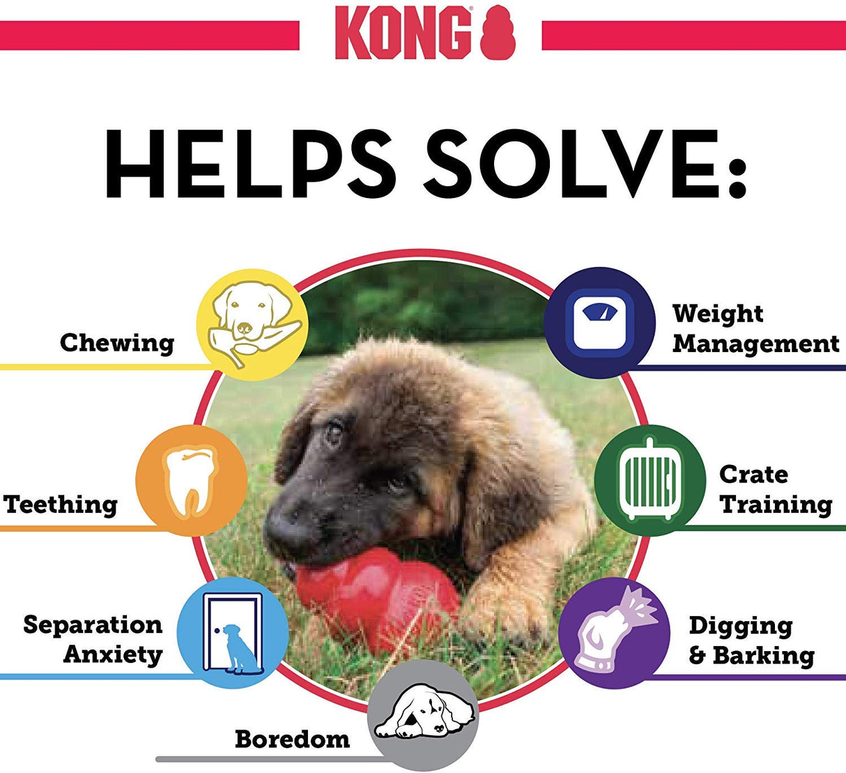 (3 Pack) Kong Small Puppy Kongs