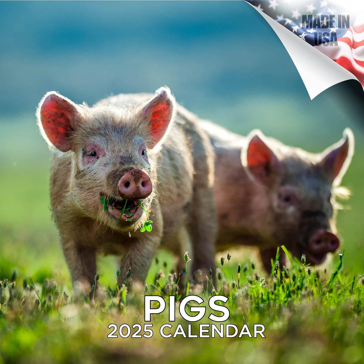 Trump Calendar 2025 Donald Trump Gifts 45 47 President Monthly Wall Calender 12 Month - MAGA - Made In The USA